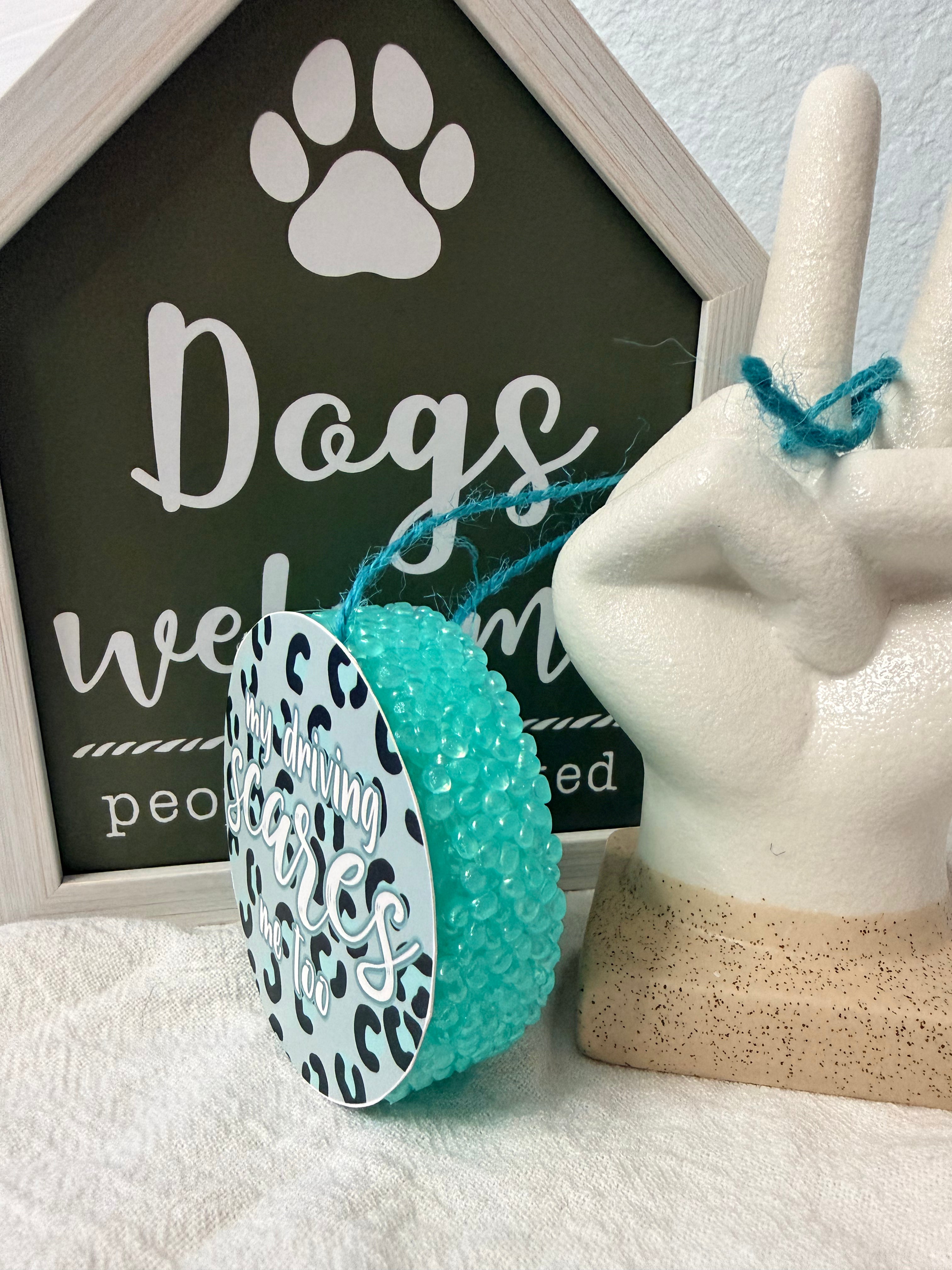 My driving Scares me too