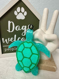 Green Sea turtle-Fruit Slices