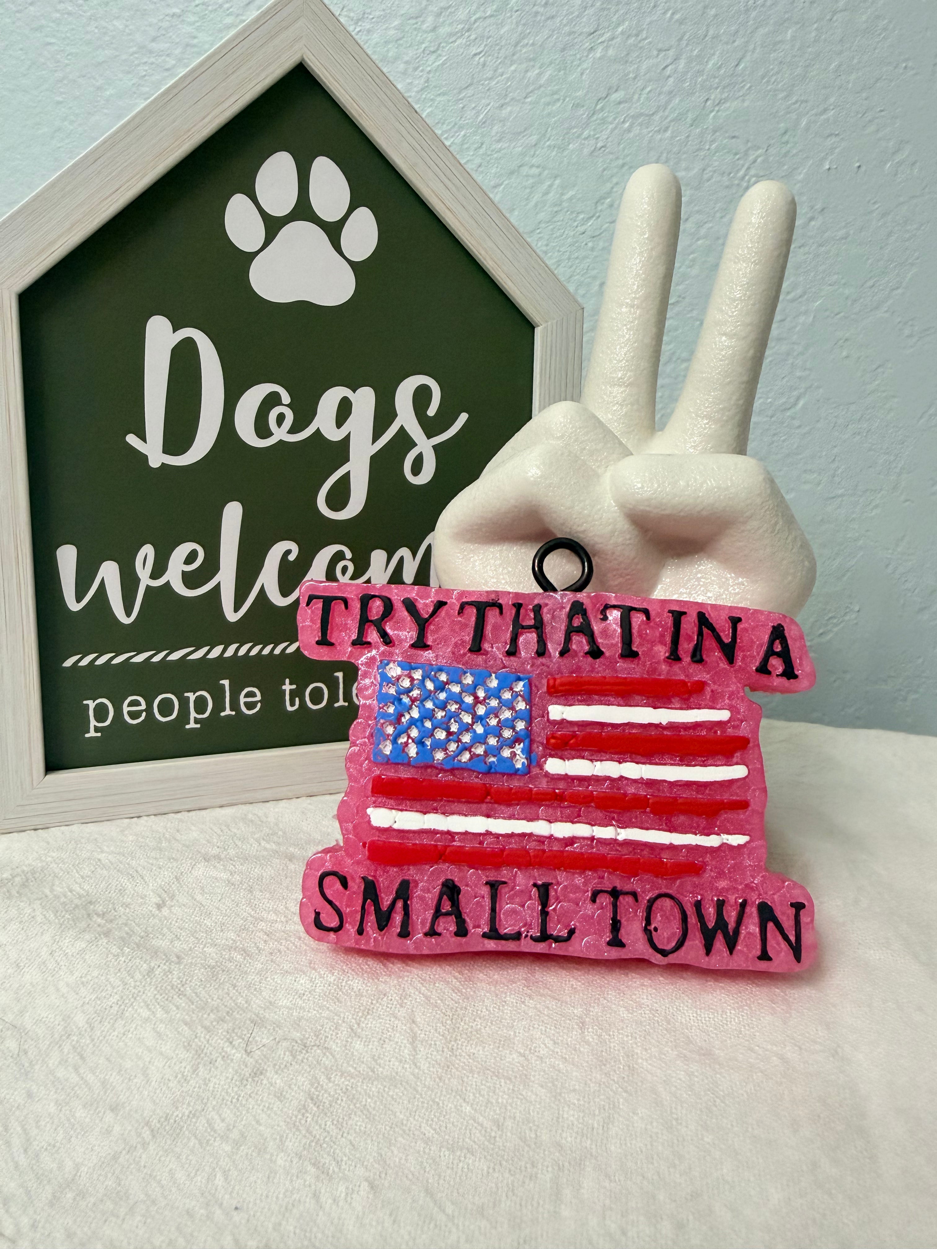 Try that in a small town-Pink