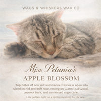 Miss Petunias Apple Blossom