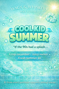 Cool Kid Summer