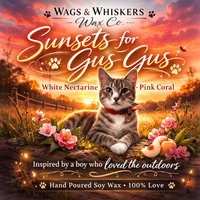 Sunsets for Gus Gus